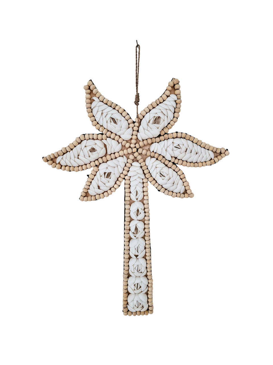 Palmboom Candra schelp