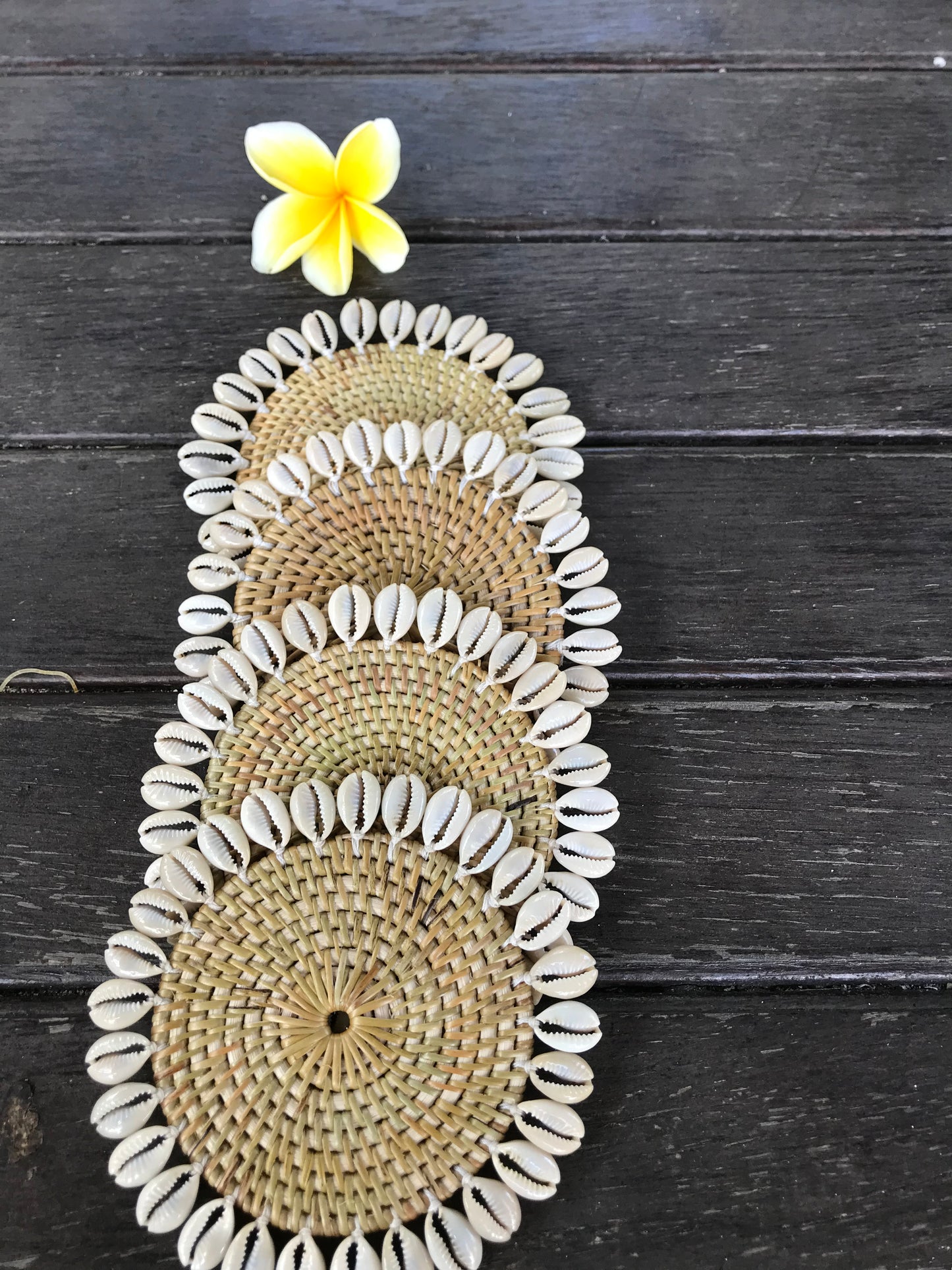 Schelpen onderzetters